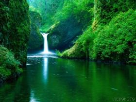 la nature